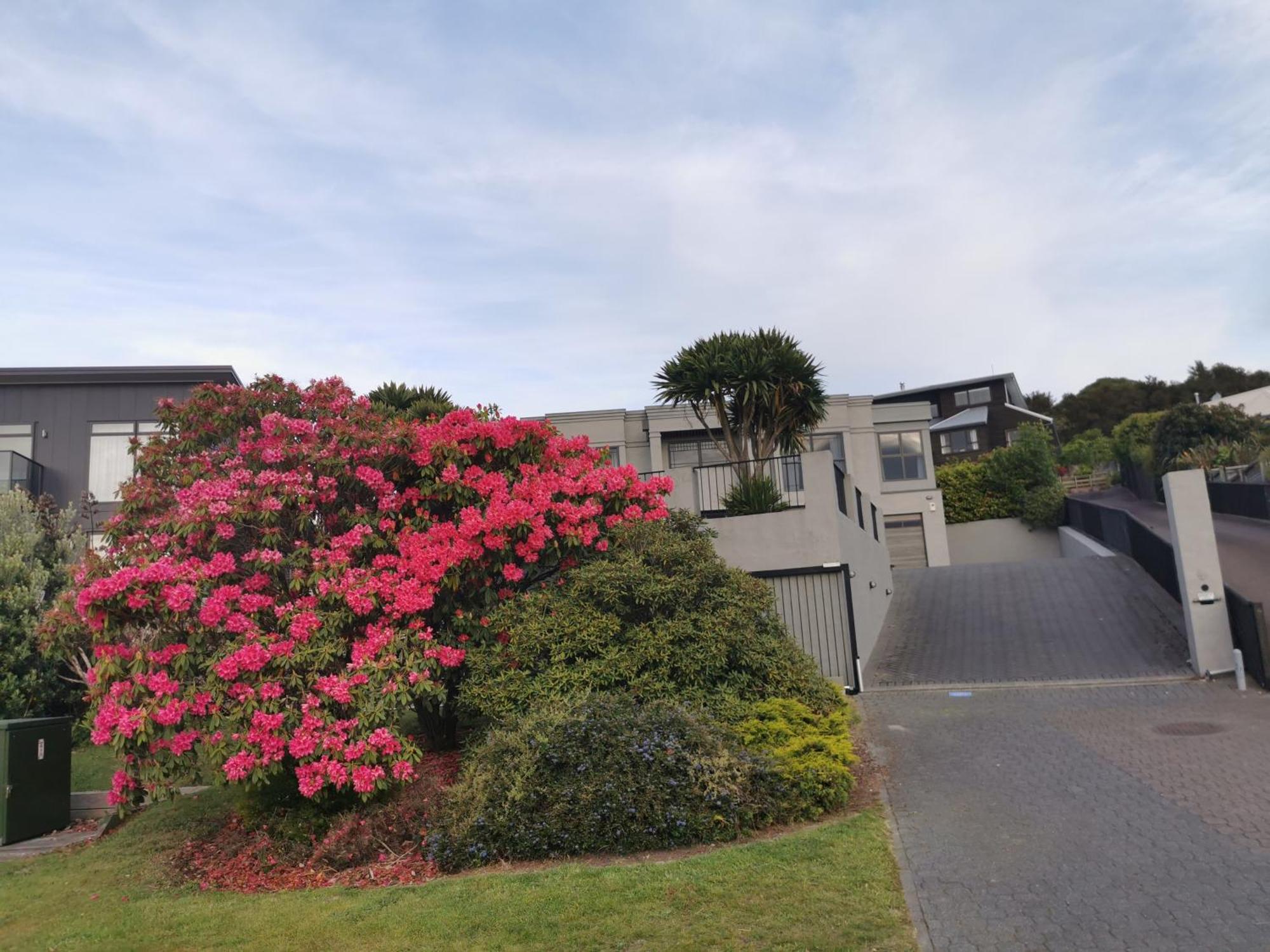 Lakeview Holiday Hideaway Lago Lago Taupo Exterior foto