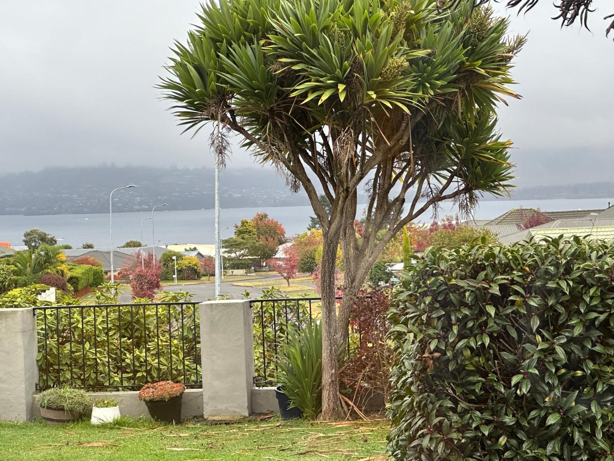 Lakeview Holiday Hideaway Lago Lago Taupo Exterior foto