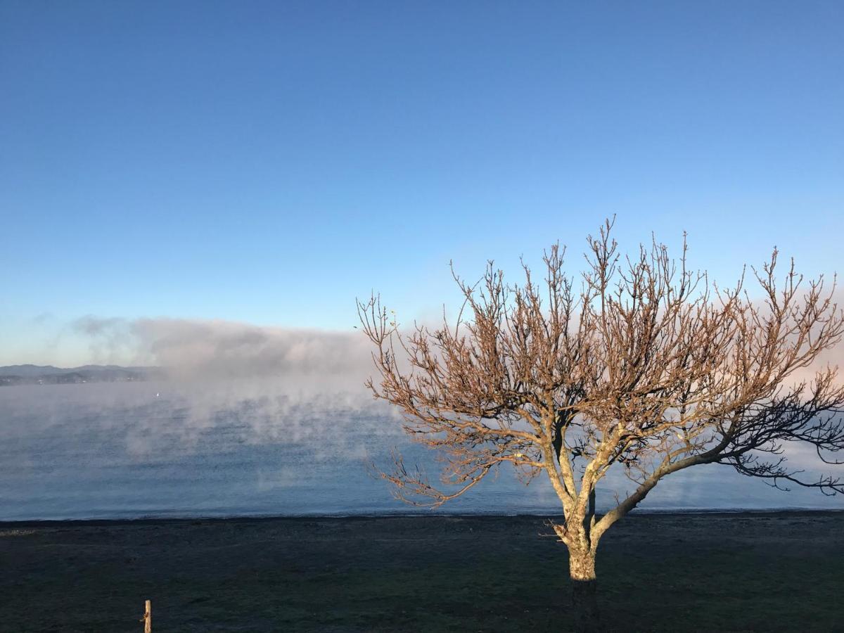 Lakeview Holiday Hideaway Lago Lago Taupo Exterior foto